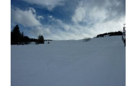 Dimanche 06 Février 2011 : Surprise !